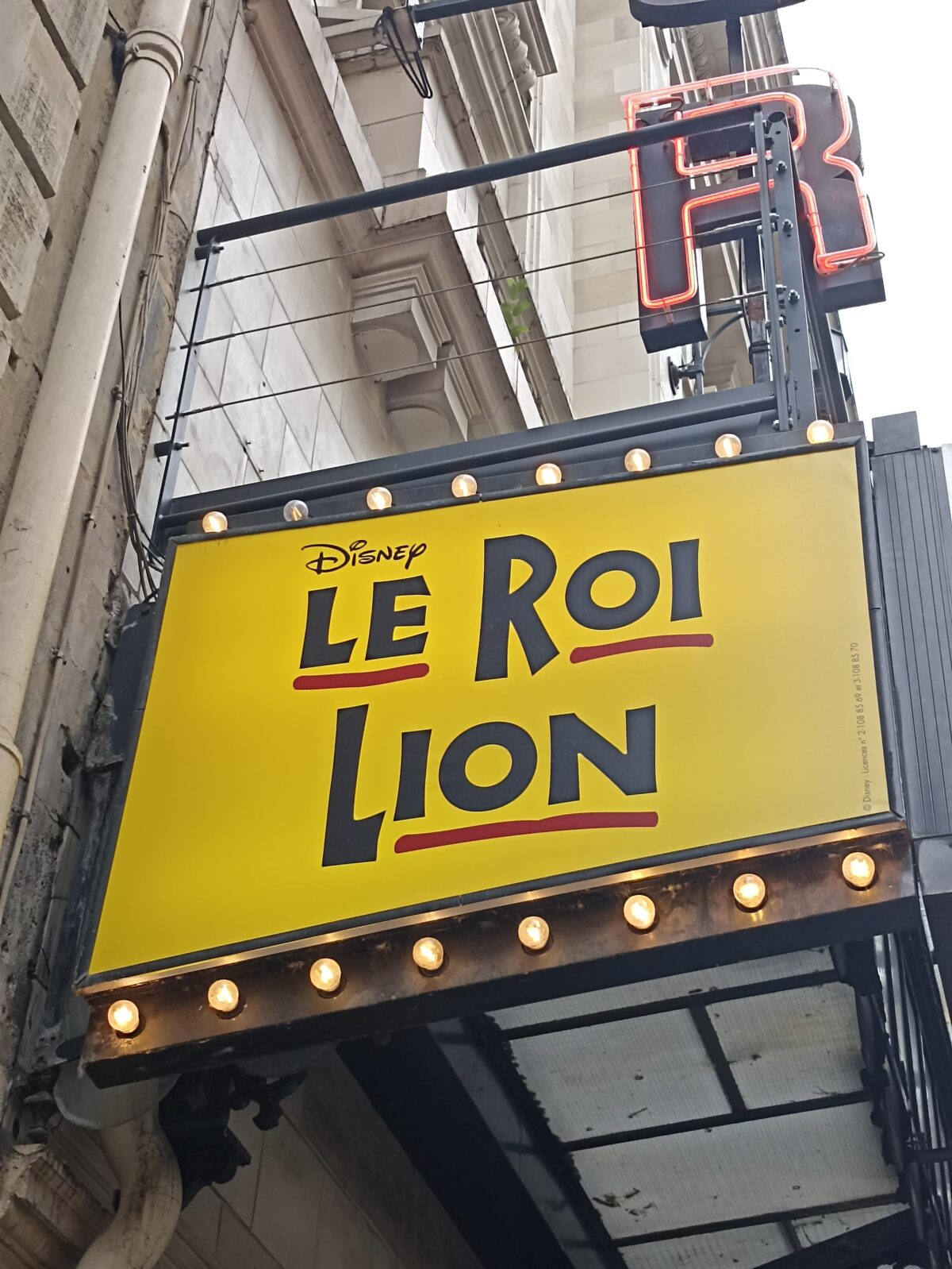 Le Roi Lion un succès rugissant au théâtre Mogador (G15)