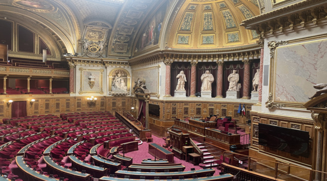 LE FONCTIONNEMENT DU SÉNAT