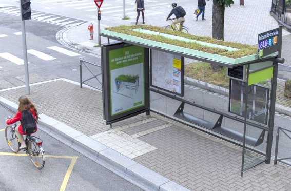 Abribus dépolluant grâce à la mousse sur le toit (@JCDecaux)